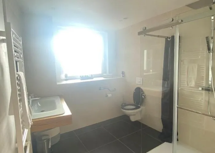 Vila Dans Les Vosges Du Feing Des Loges Vagney